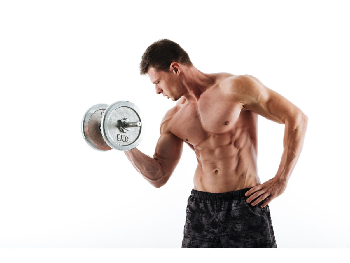 muscle growth
